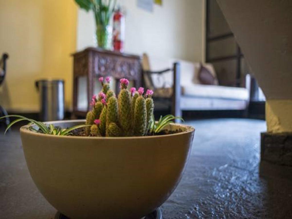 Tecte Guest House Cusco Bagian luar foto